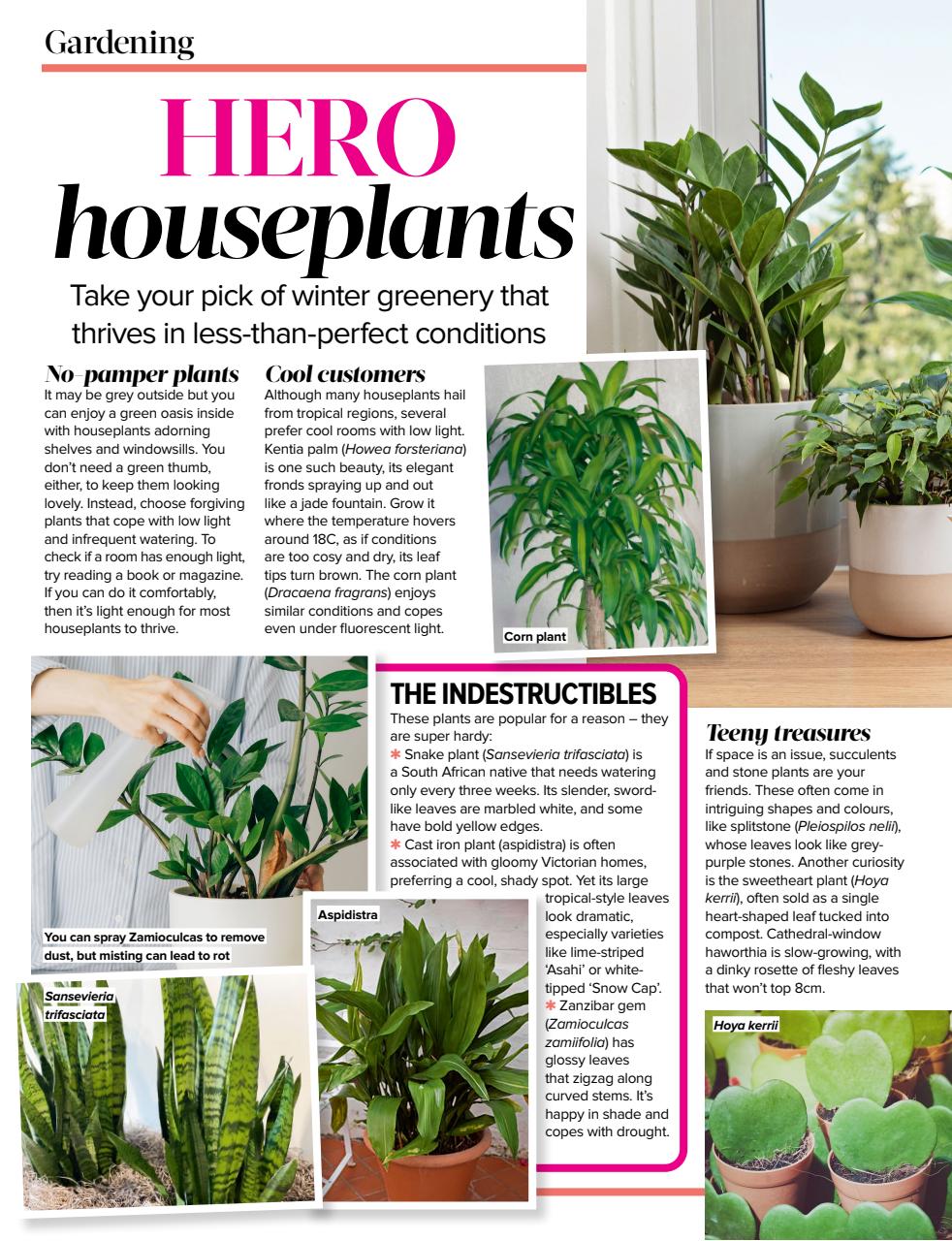 Woman's Weekly Preview Pages