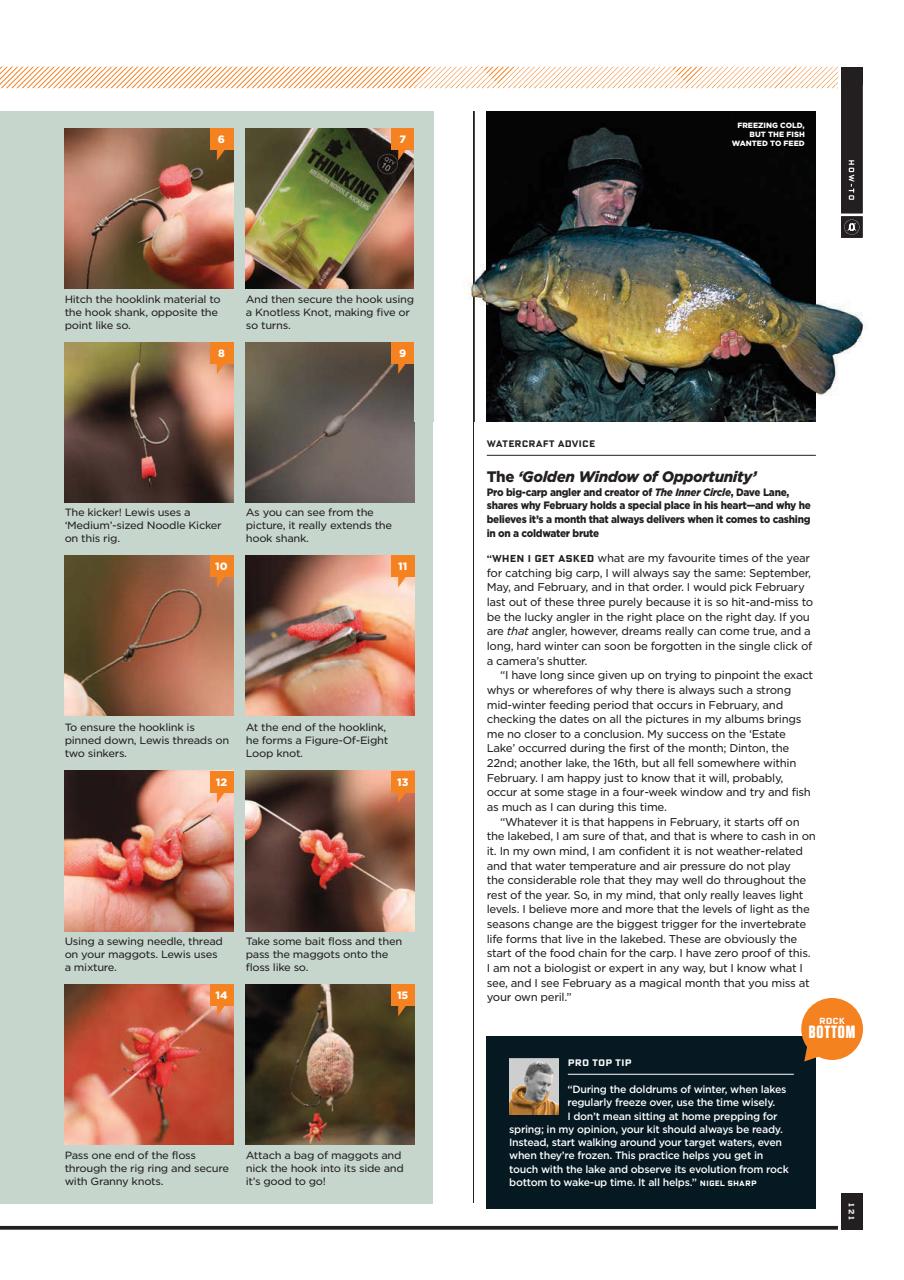 CARPology Magazine Preview Pages