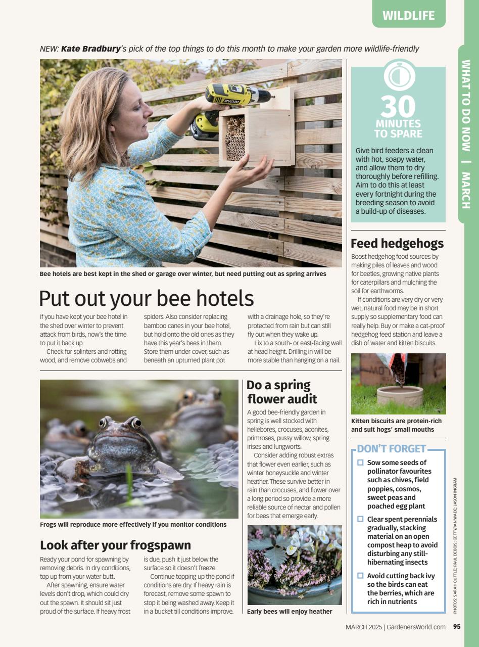 BBC Gardeners’ World Magazine Preview Pages
