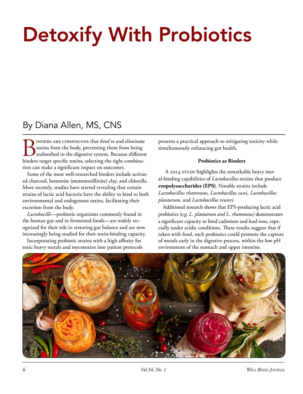 Well Being Journal Preview Pages