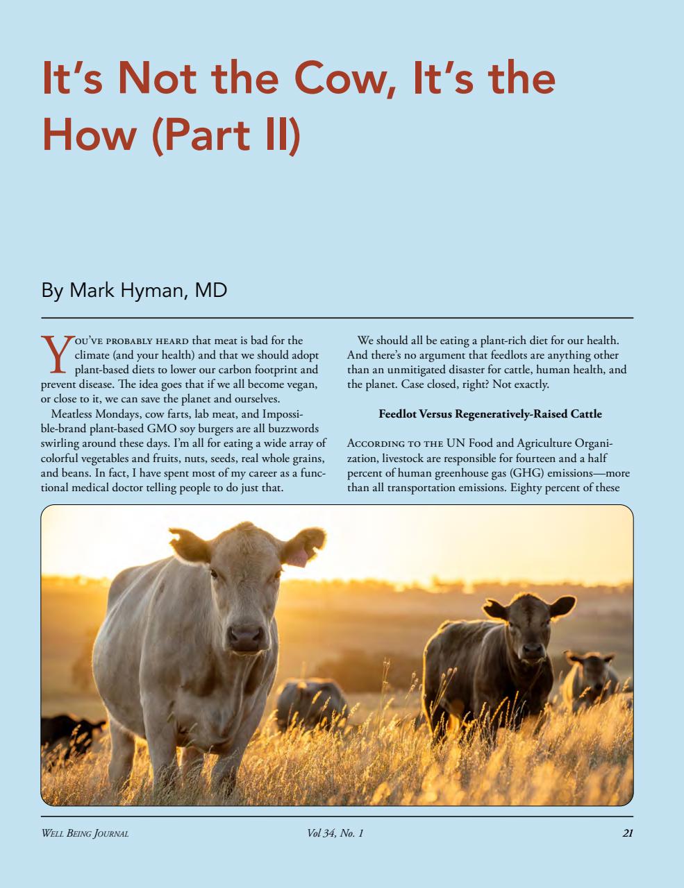 Well Being Journal Preview Pages