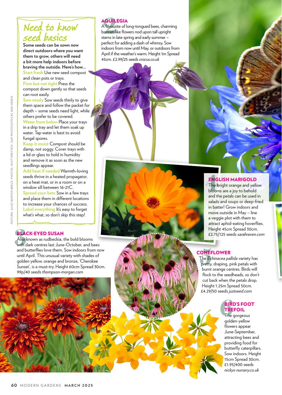 Modern Gardens Preview Pages