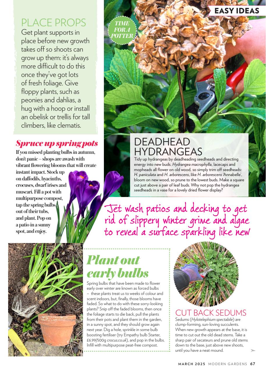 Modern Gardens Preview Pages