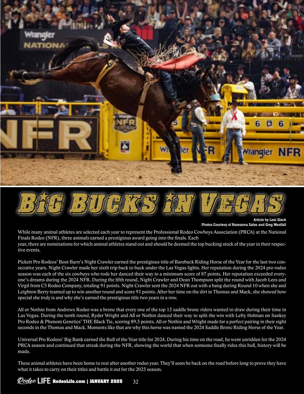 Rodeo Life Preview Pages