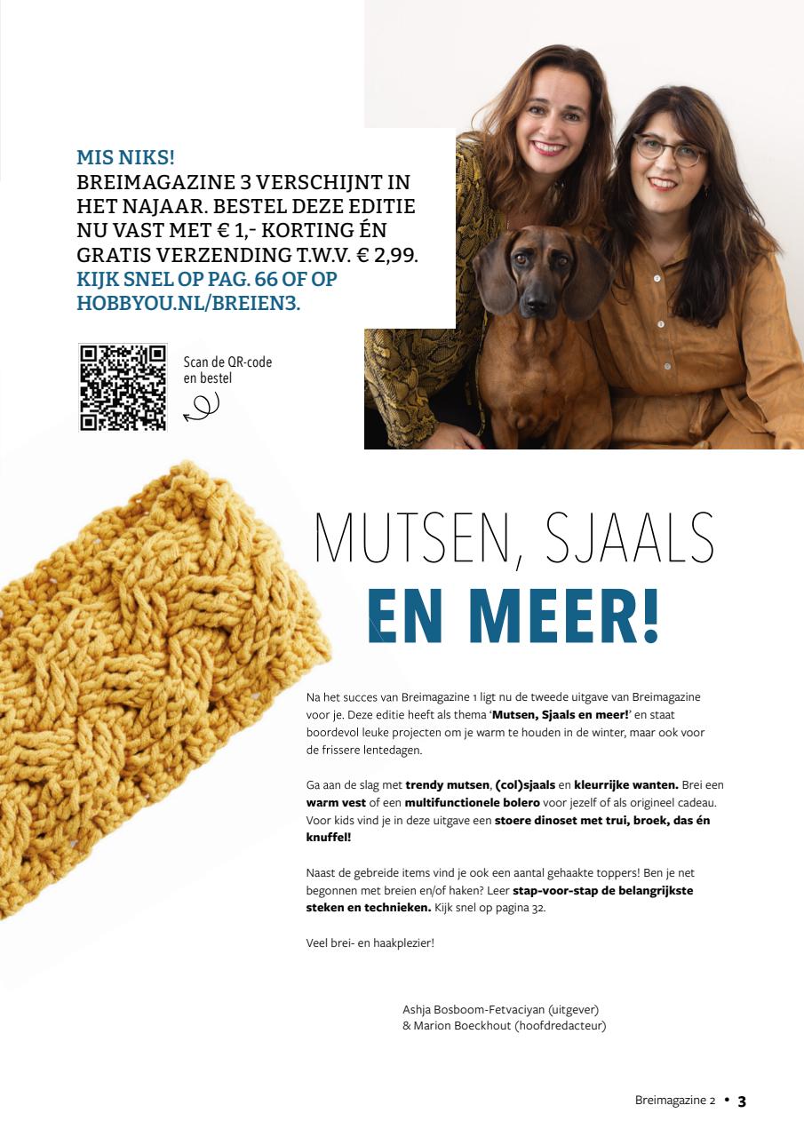 Breimagazine Preview Pages