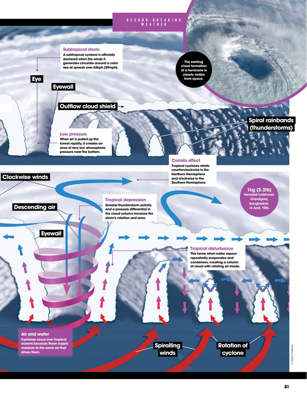How It Works Bookazine Preview Pages