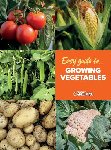 Amateur Gardening issue 