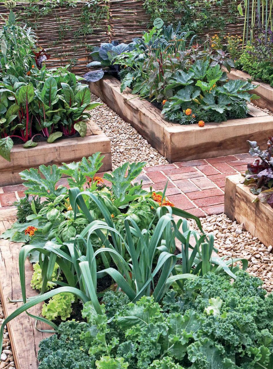 Amateur Gardening Preview Pages