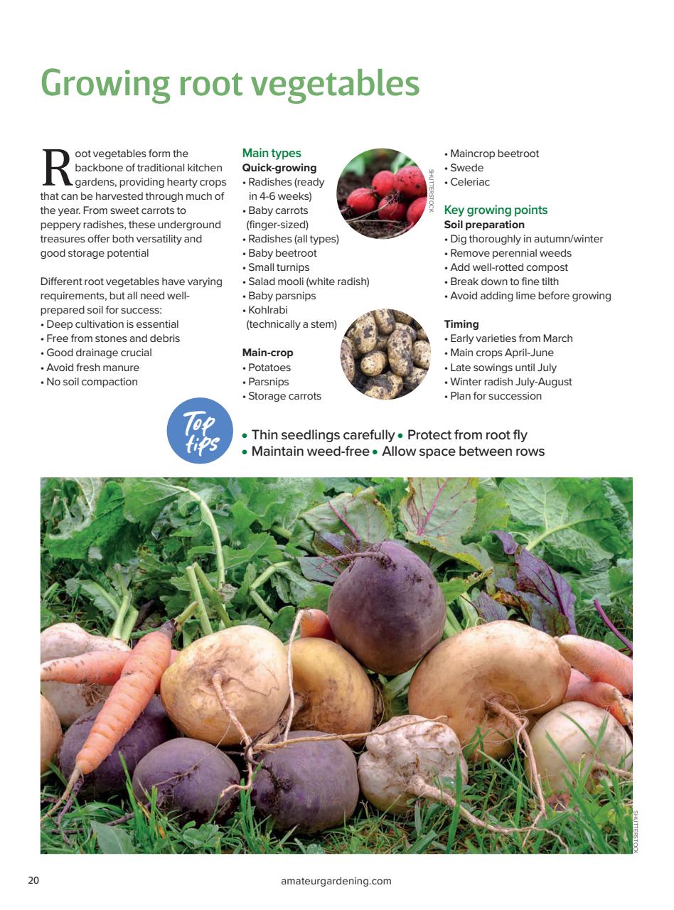 Amateur Gardening Preview Pages