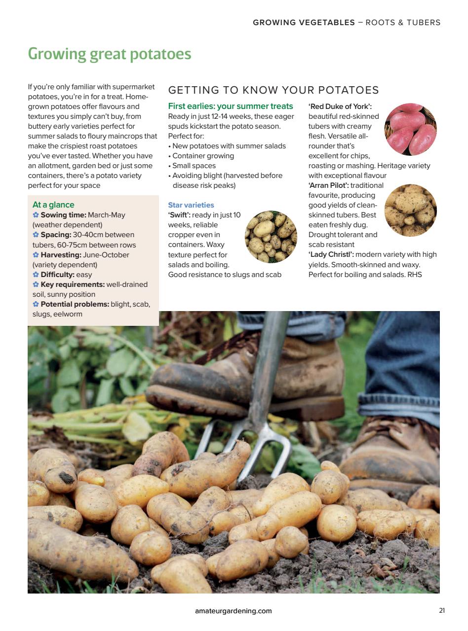 Amateur Gardening Preview Pages