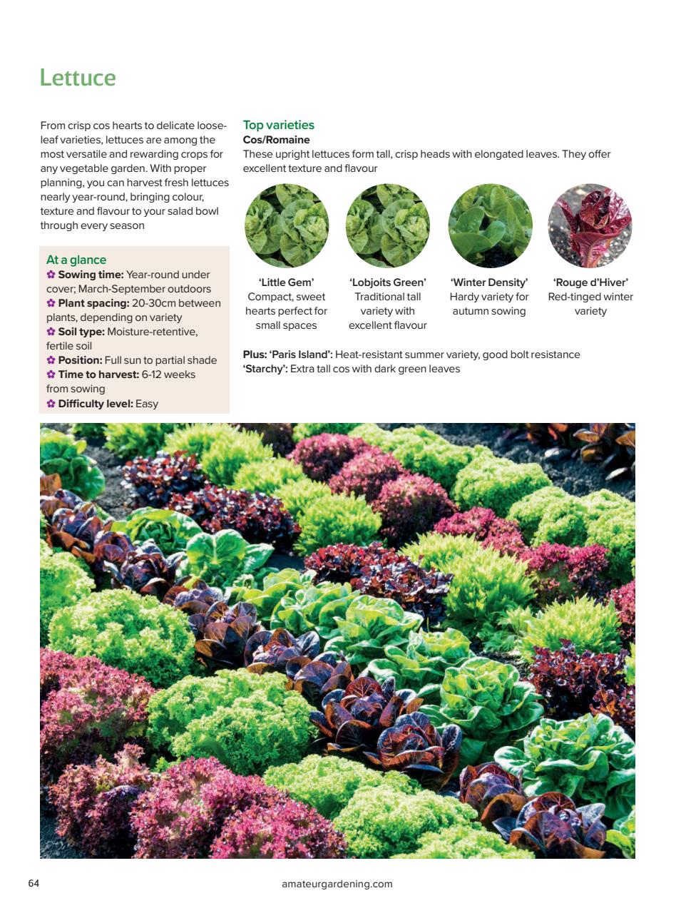 Amateur Gardening Preview Pages