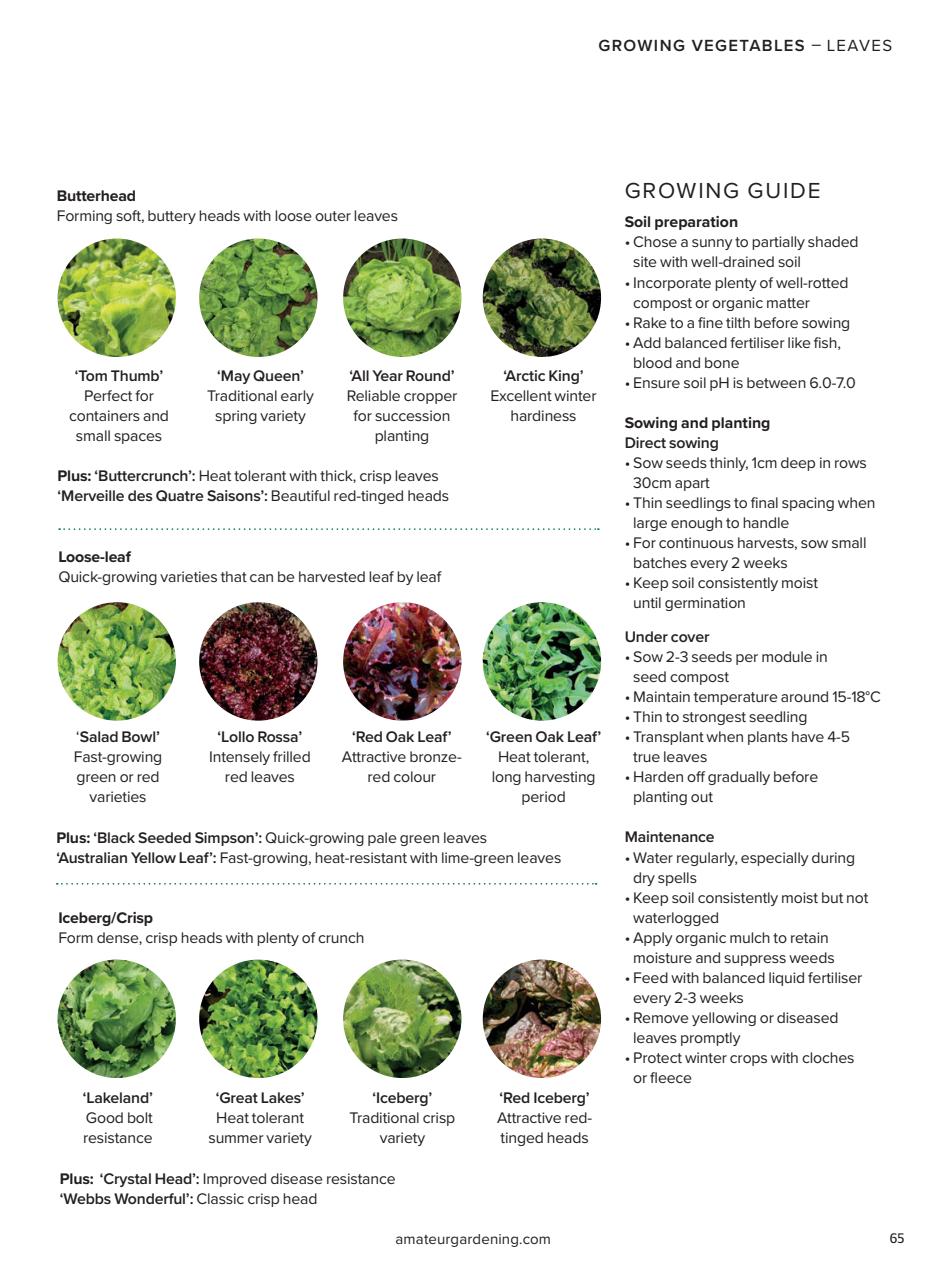 Amateur Gardening Preview Pages