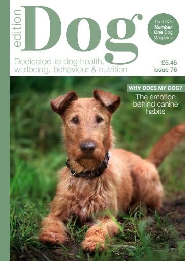 Edition Dog issue 