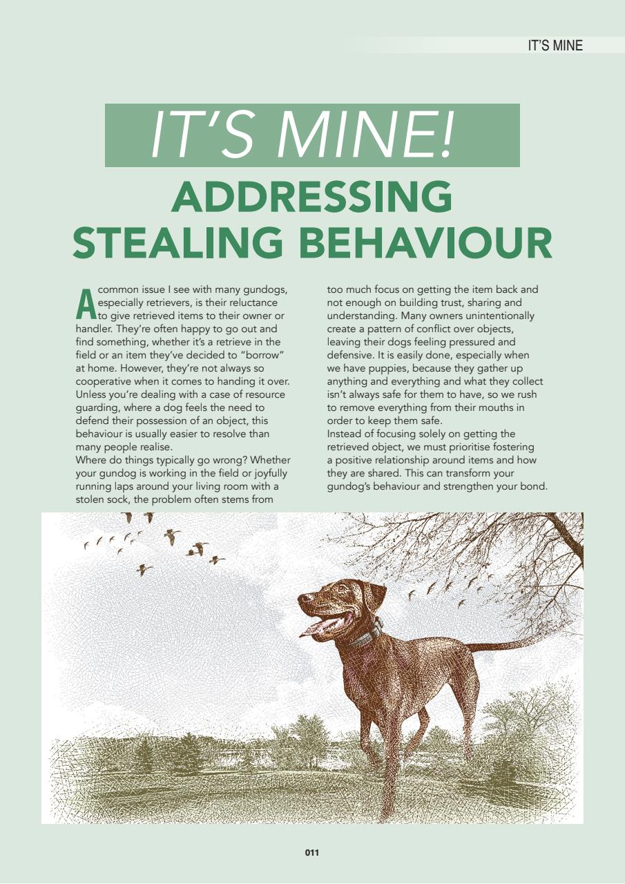 Edition Dog Preview Pages