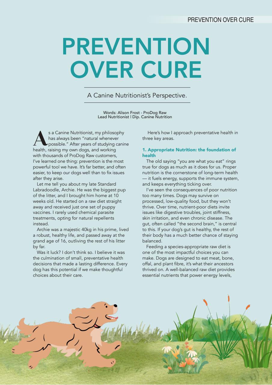 Edition Dog Preview Pages