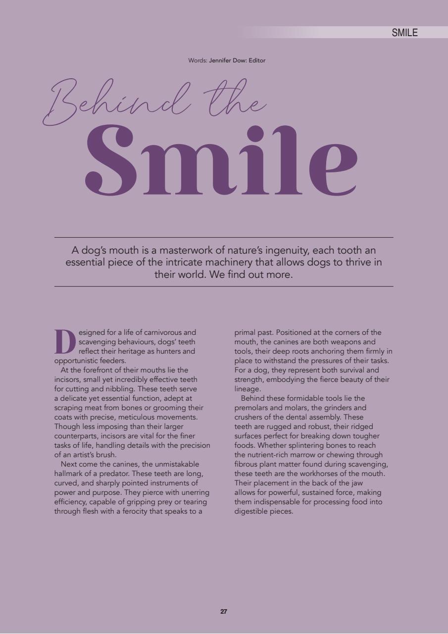 Edition Dog Preview Pages