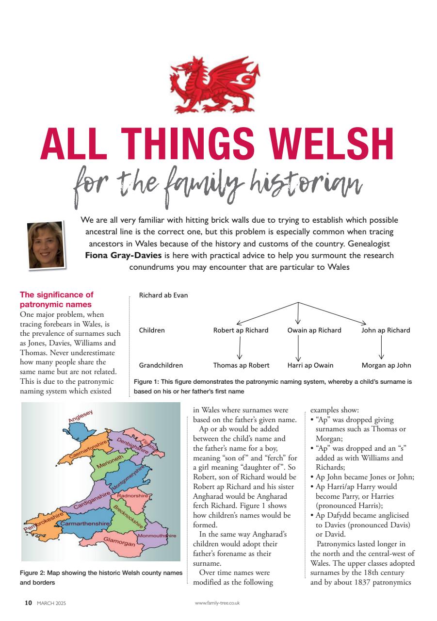 Family Tree Preview Pages