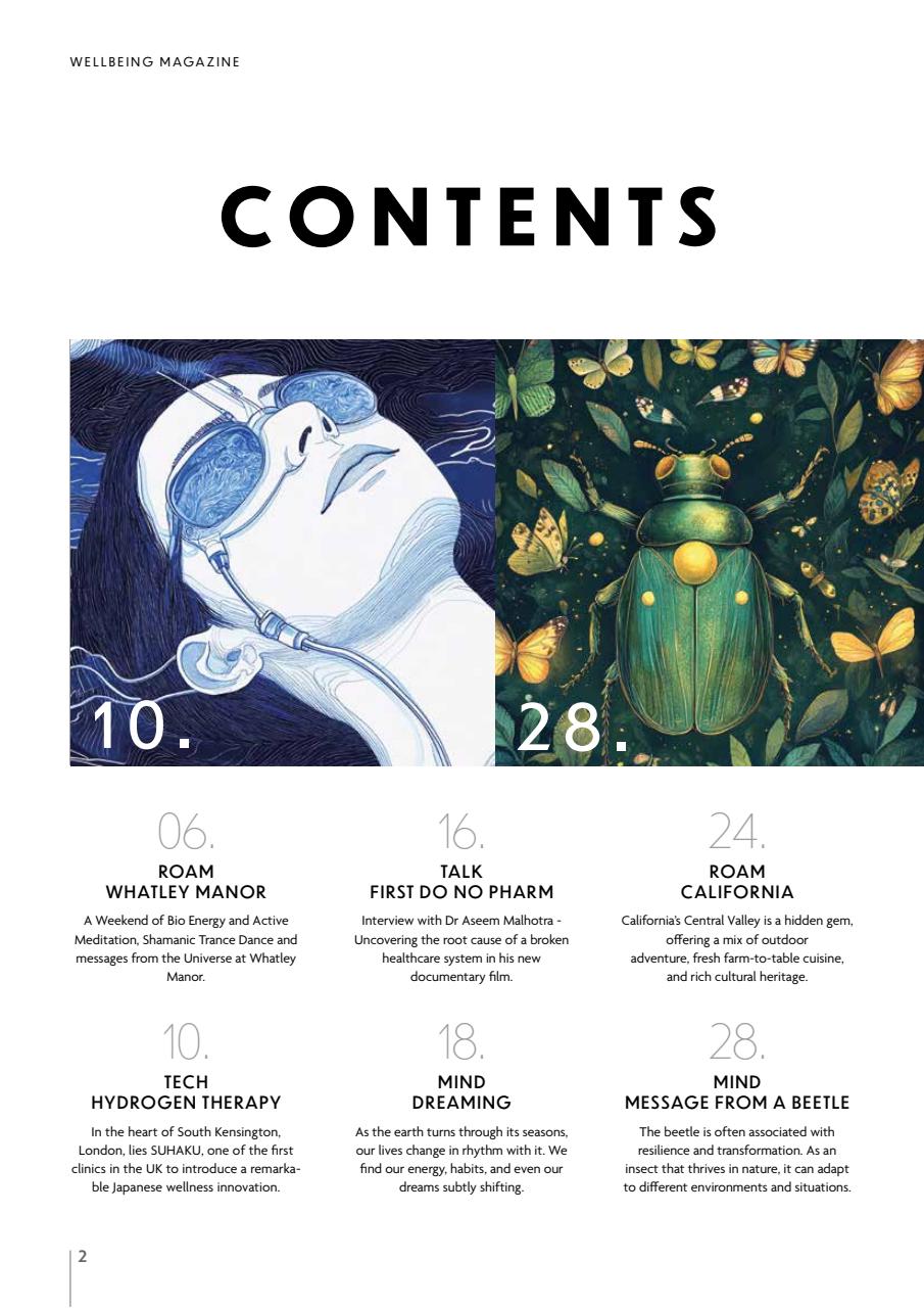 Wellbeing Magazine Preview Pages
