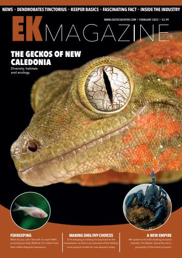 Exotics Keeper issue 