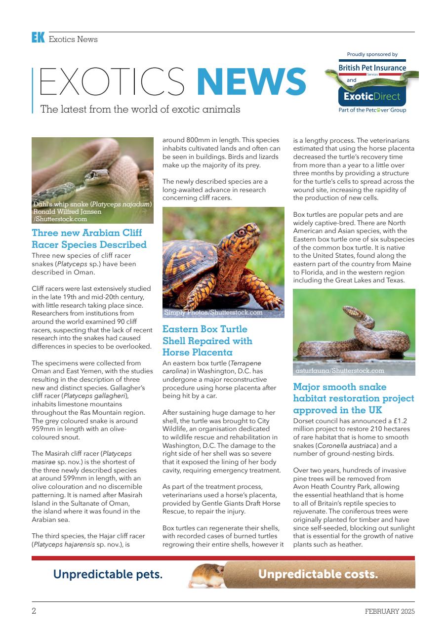 Exotics Keeper Preview Pages