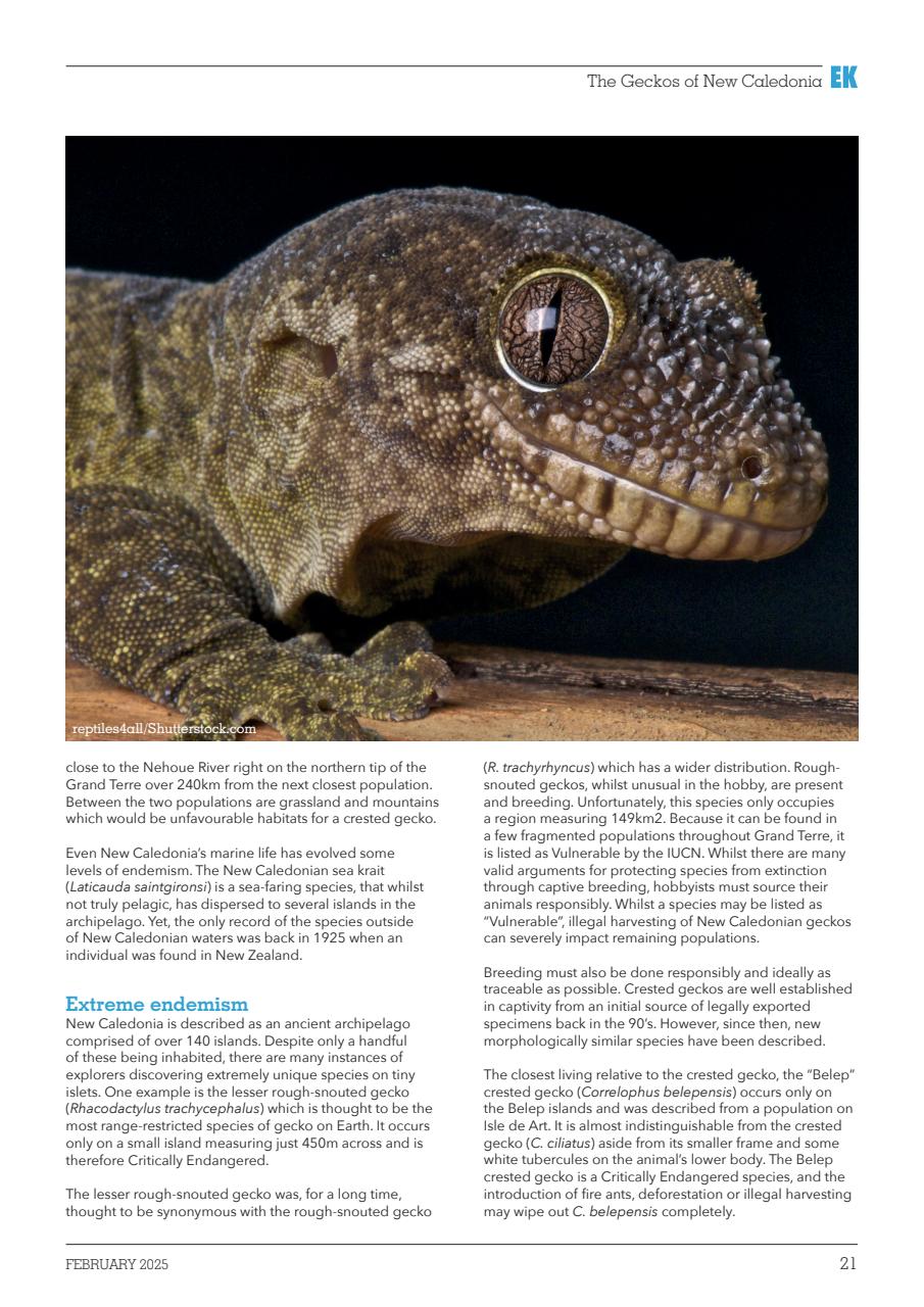 Exotics Keeper Preview Pages