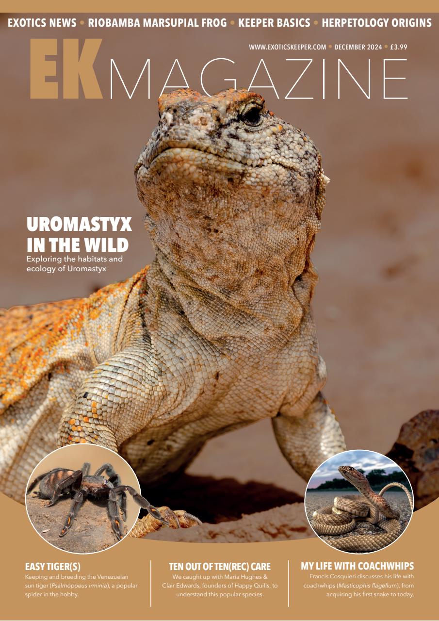 Exotics Keeper Preview Pages