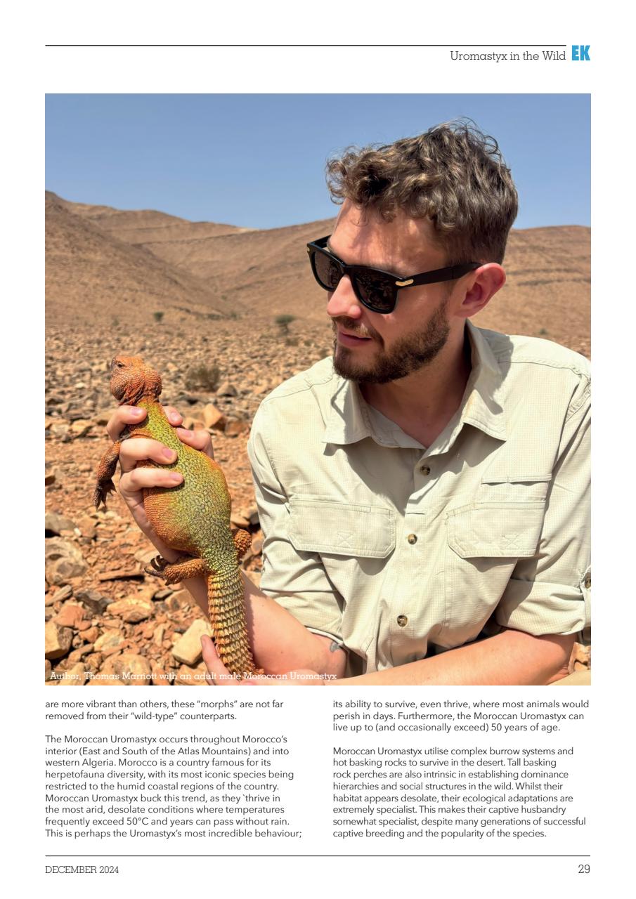 Exotics Keeper Preview Pages