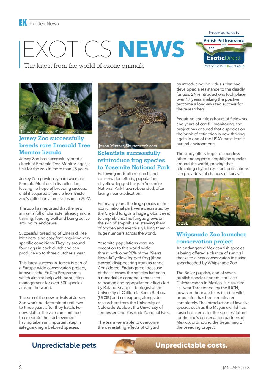 Exotics Keeper Preview Pages