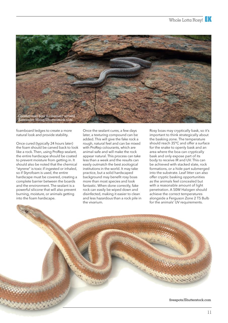 Exotics Keeper Preview Pages