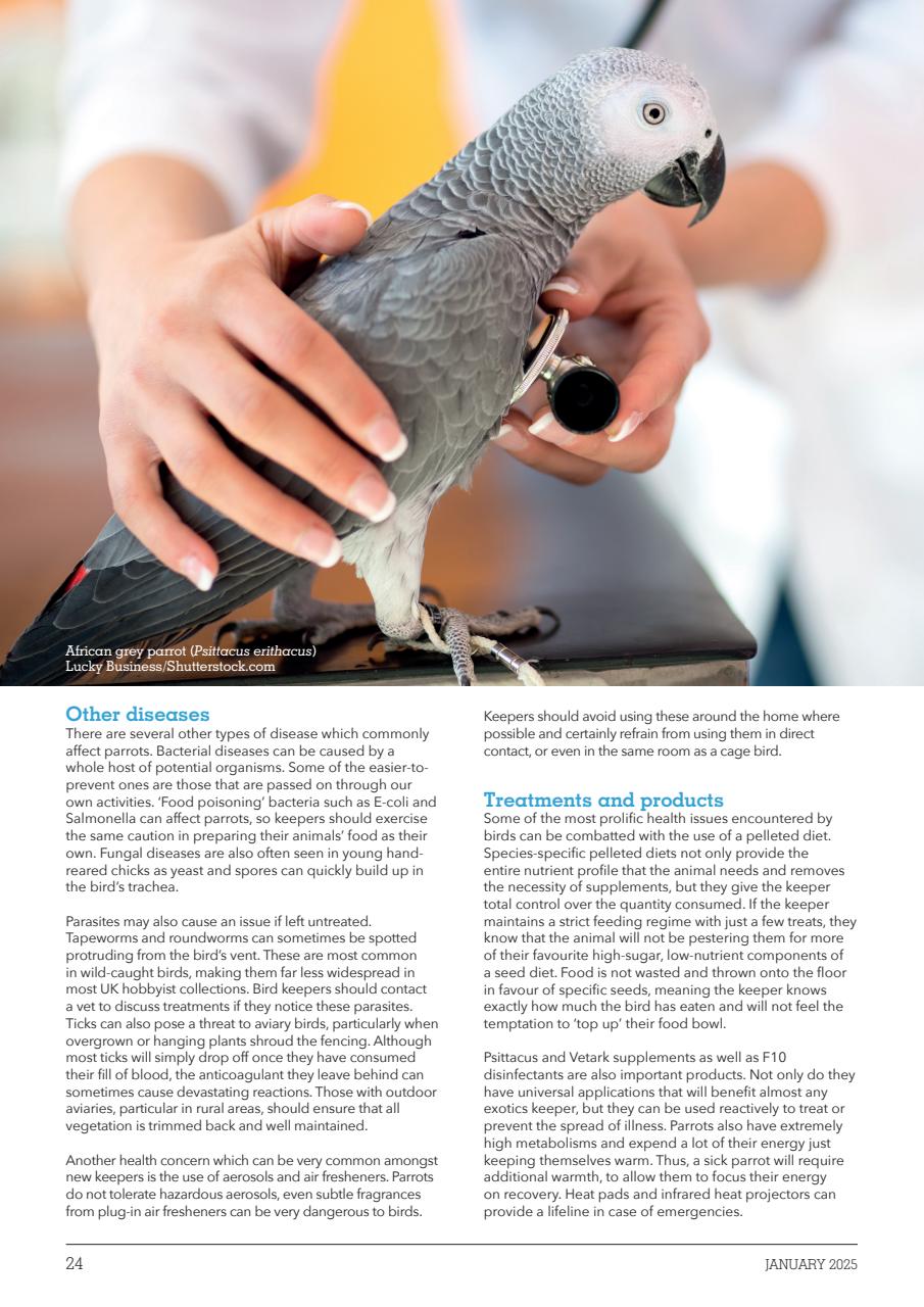 Exotics Keeper Preview Pages