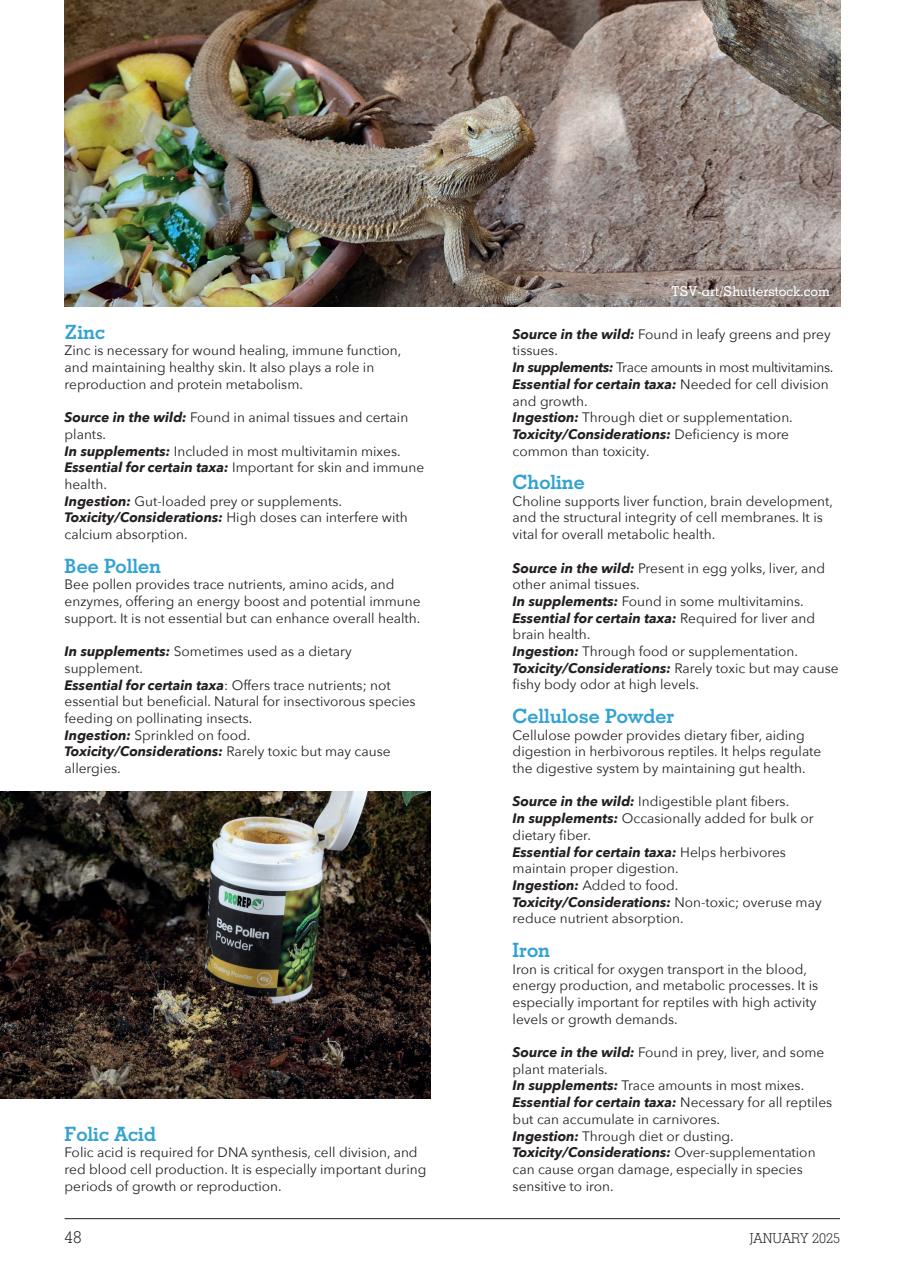 Exotics Keeper Preview Pages