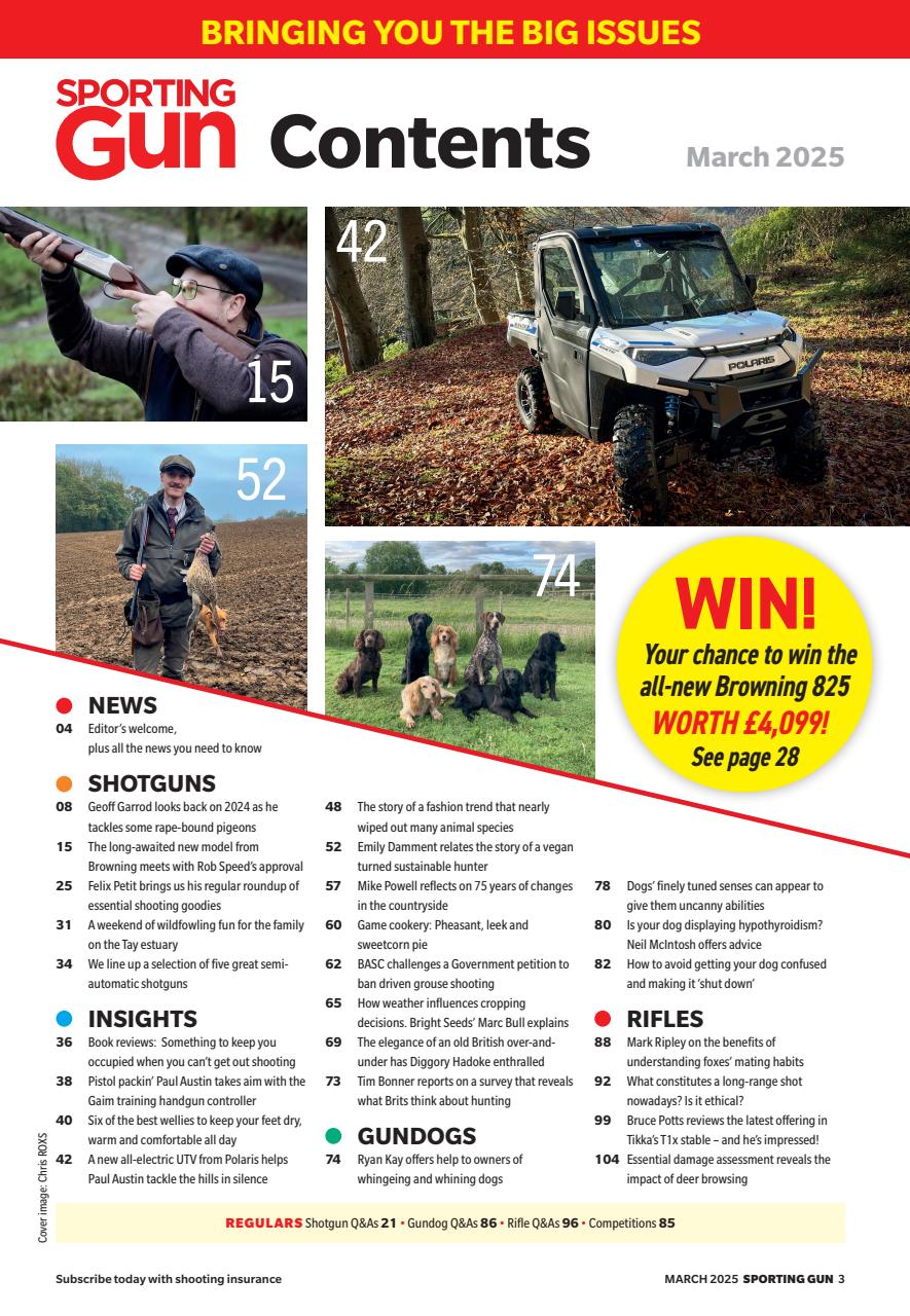 Sporting Gun Preview Pages