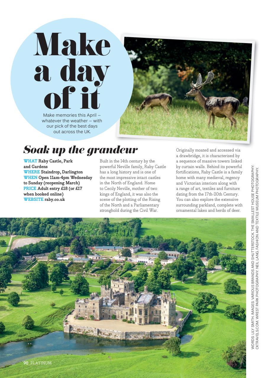 Platinum Preview Pages