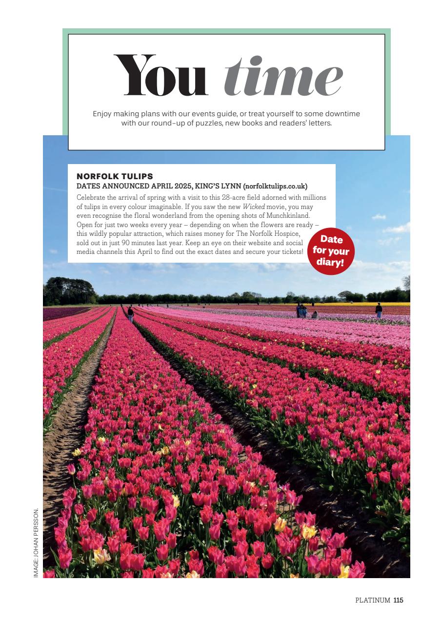 Platinum Preview Pages