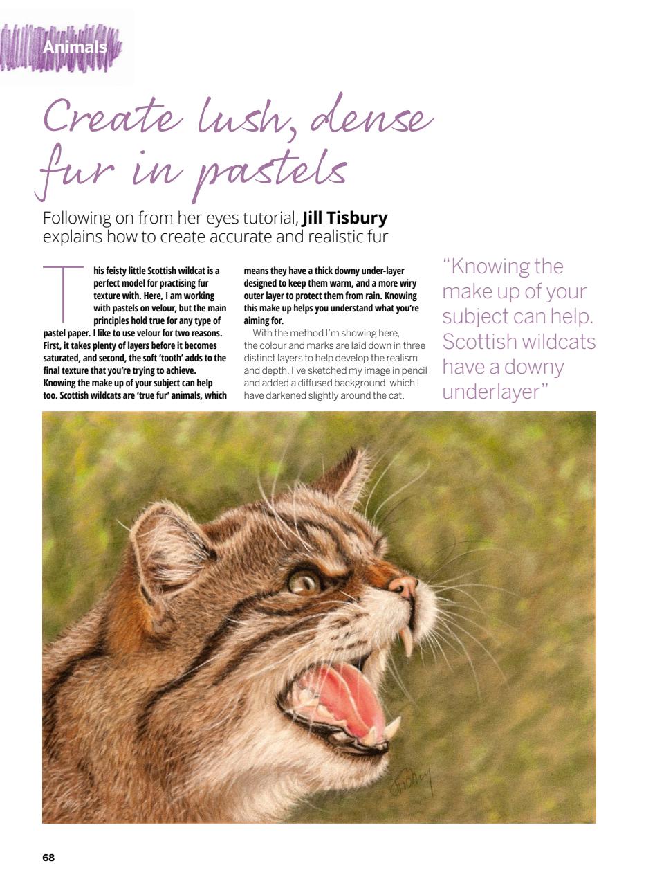 Creative Bookazine Preview Pages