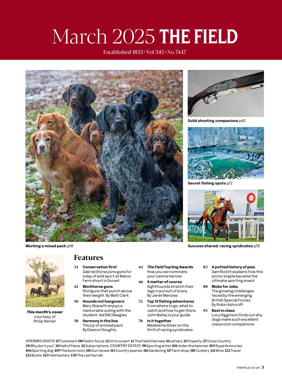 The Field Preview Pages