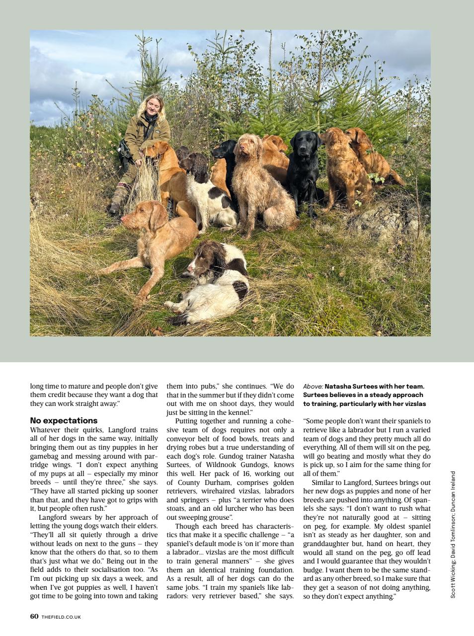 The Field Preview Pages