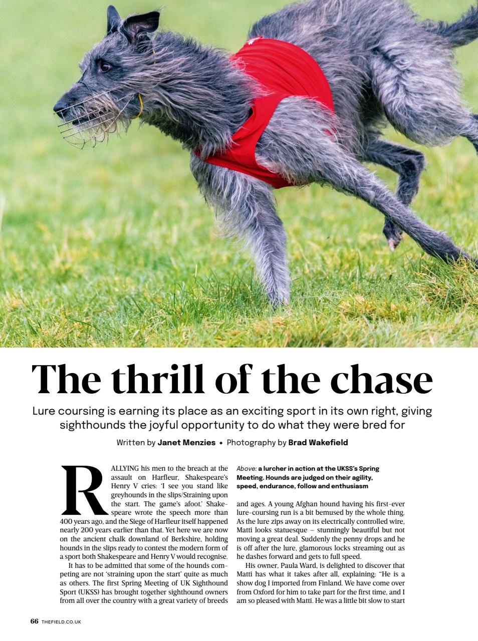 The Field Preview Pages