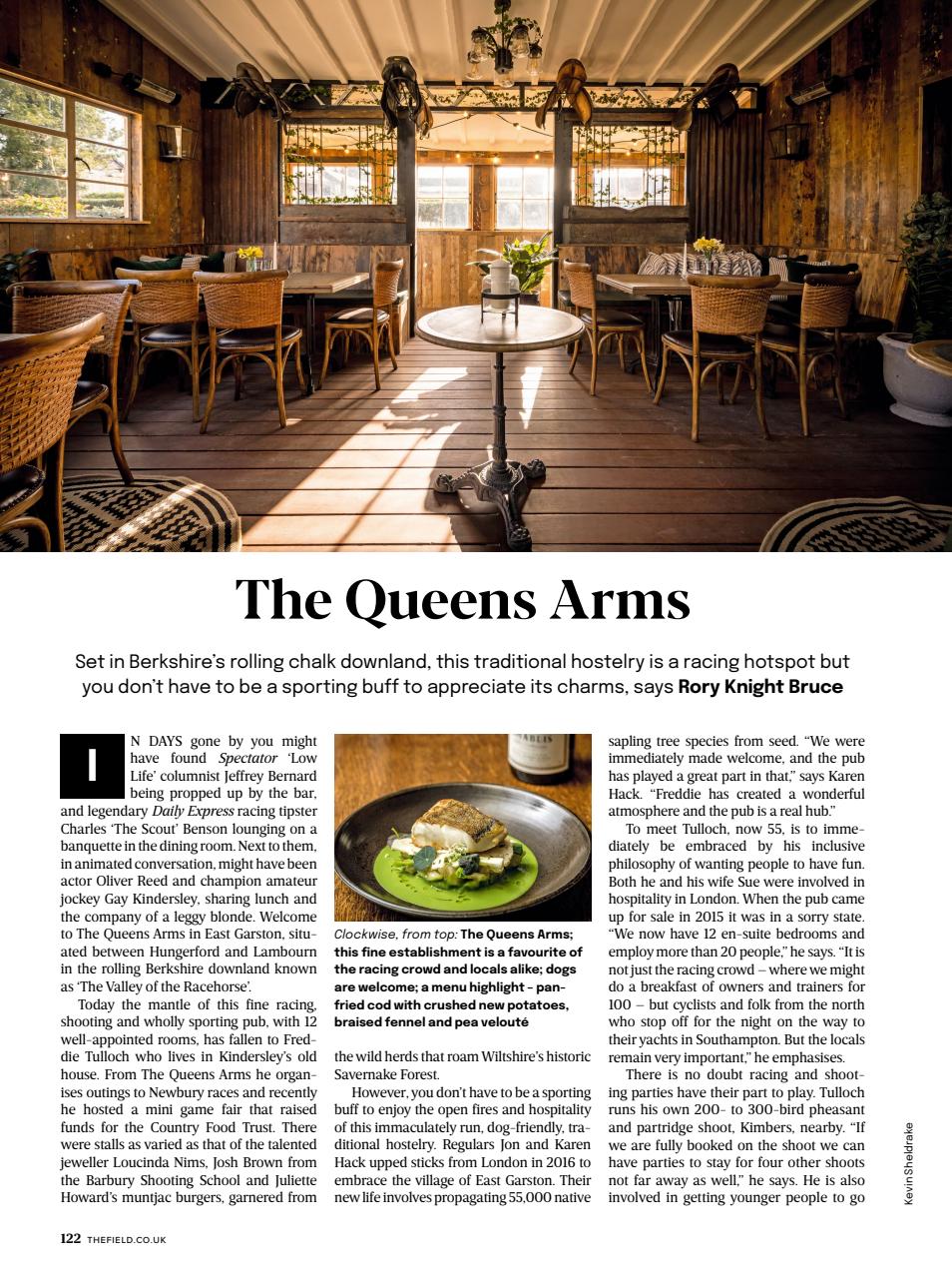 The Field Preview Pages