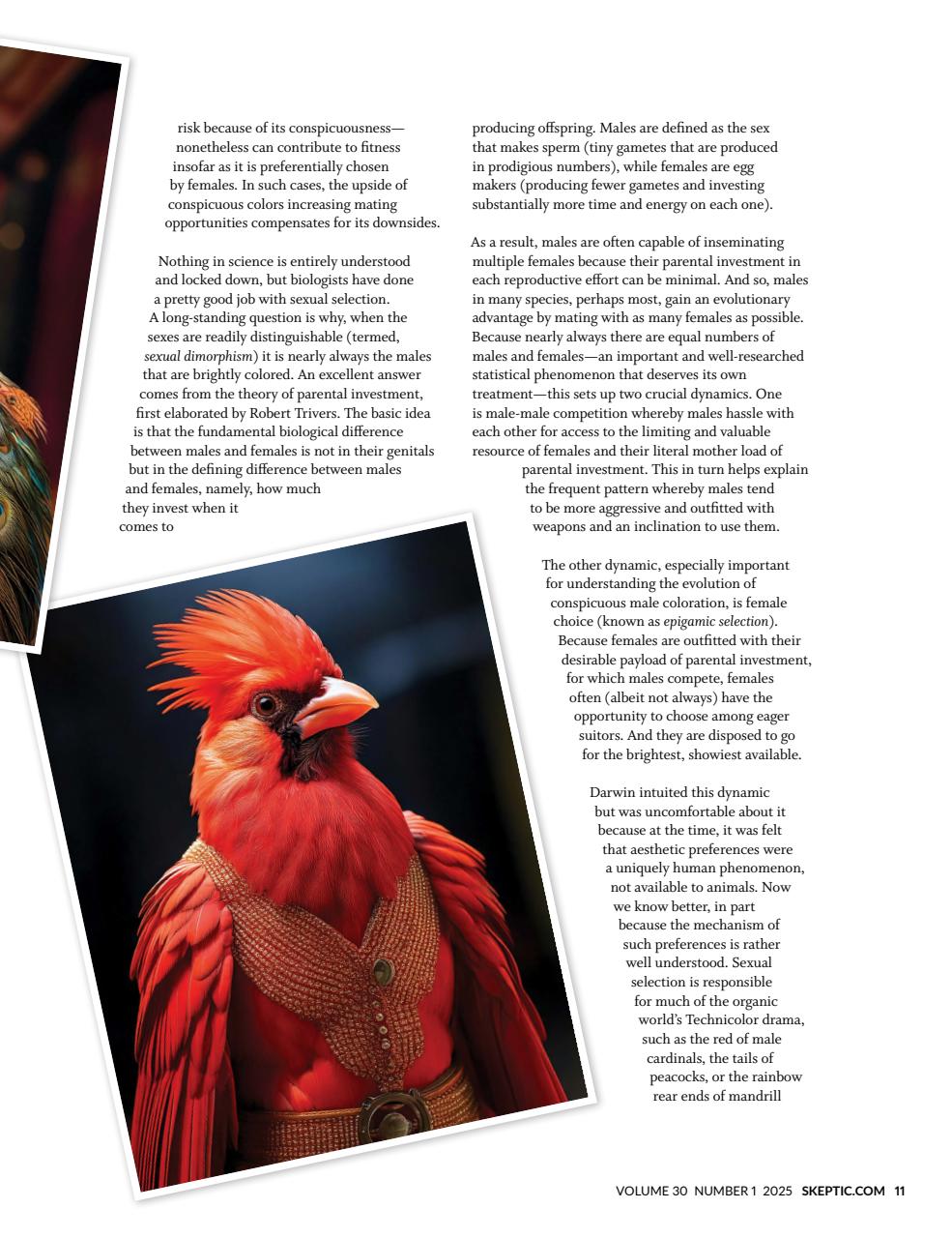 Skeptic Preview Pages