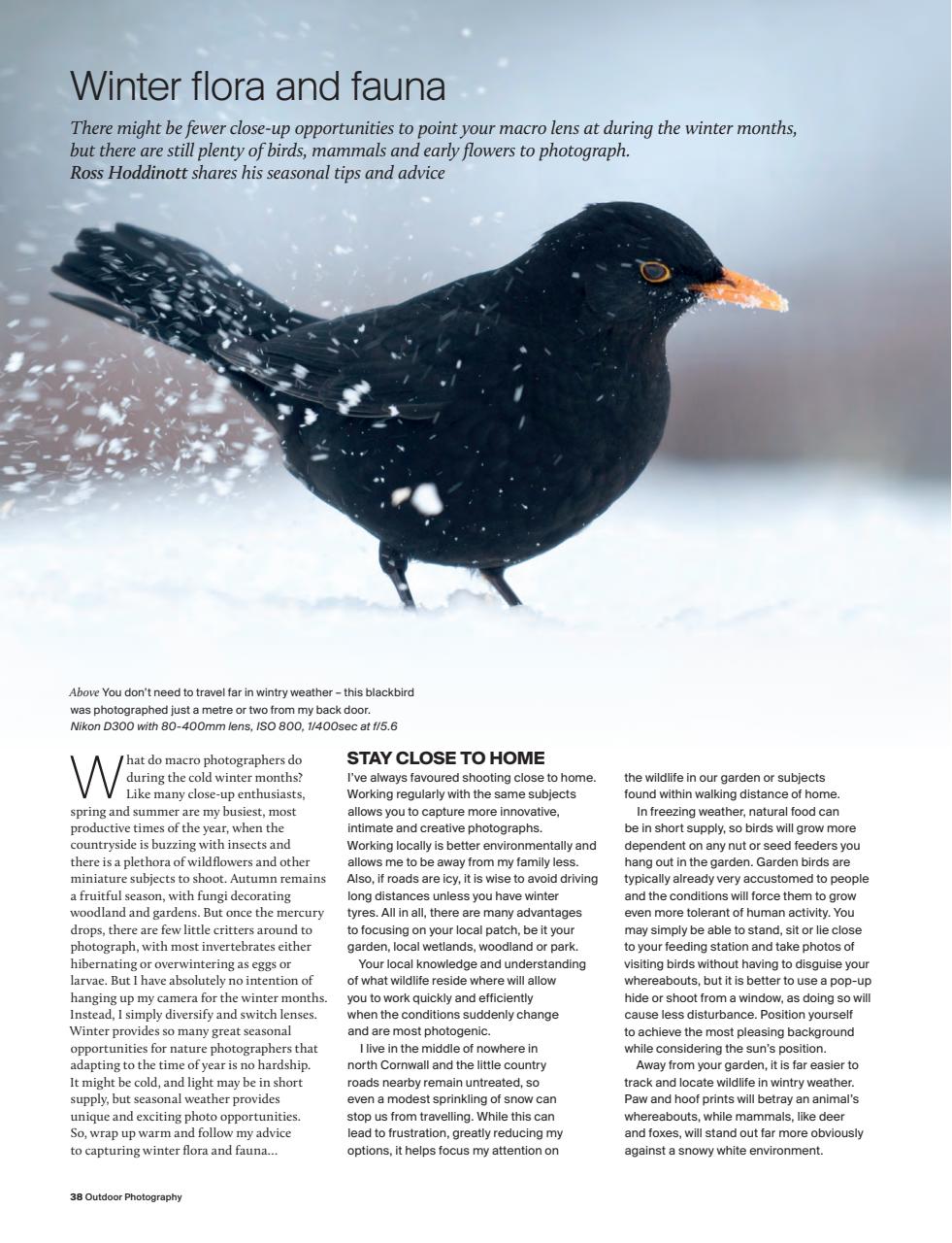 Outdoor Photography Preview Pages