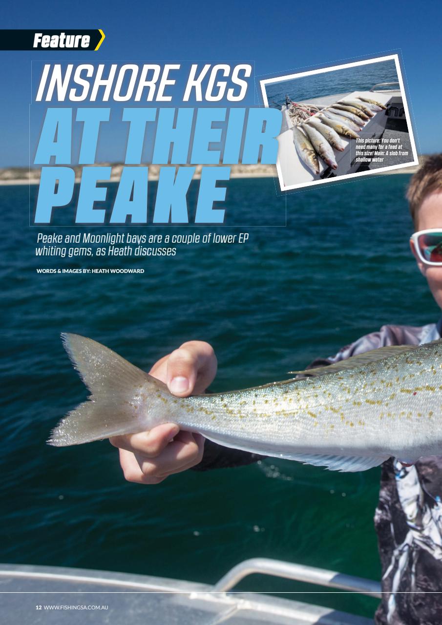 Fishing SA Preview Pages