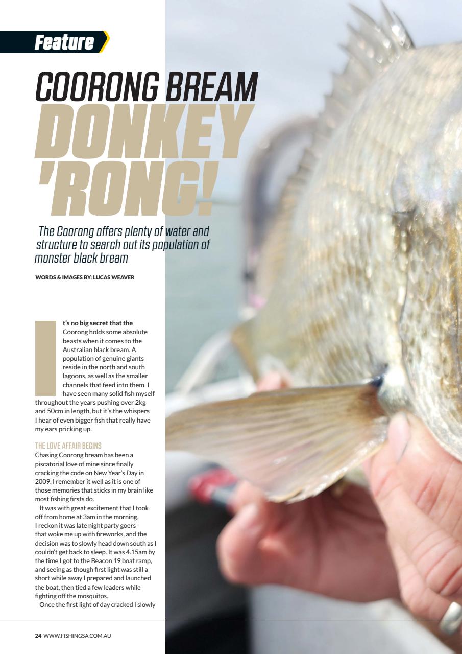 Fishing SA Preview Pages