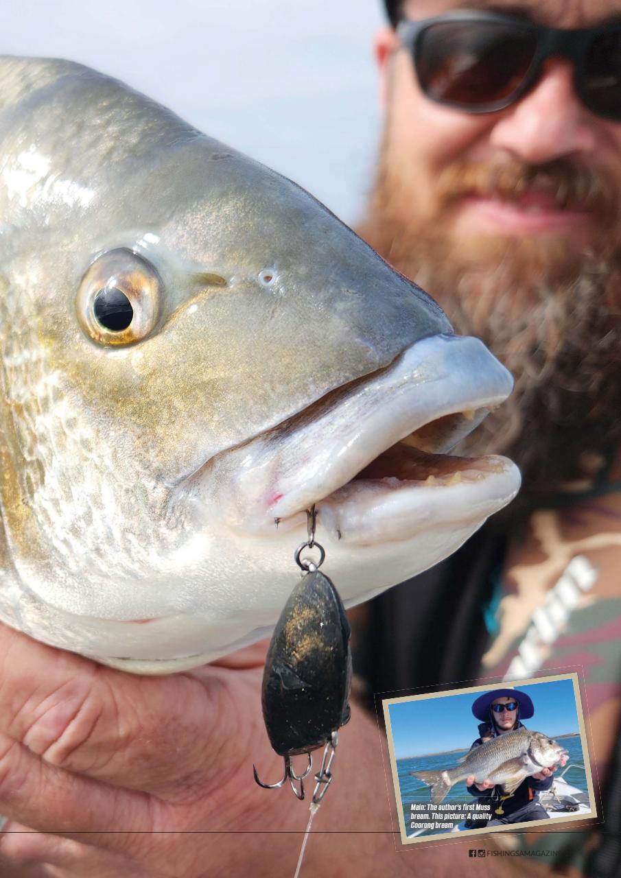 Fishing SA Preview Pages