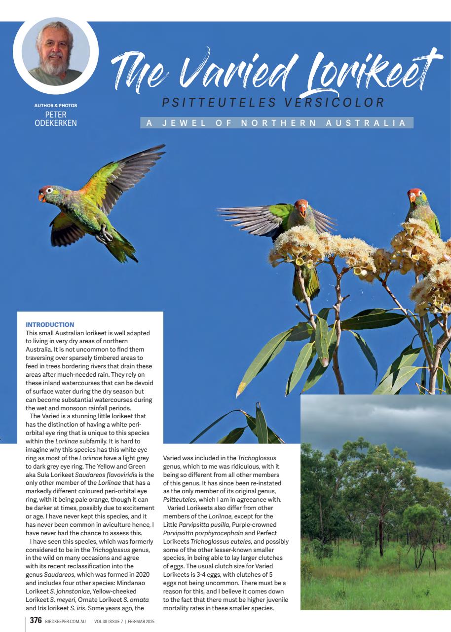Australian Birdkeeper Magazine Preview Pages