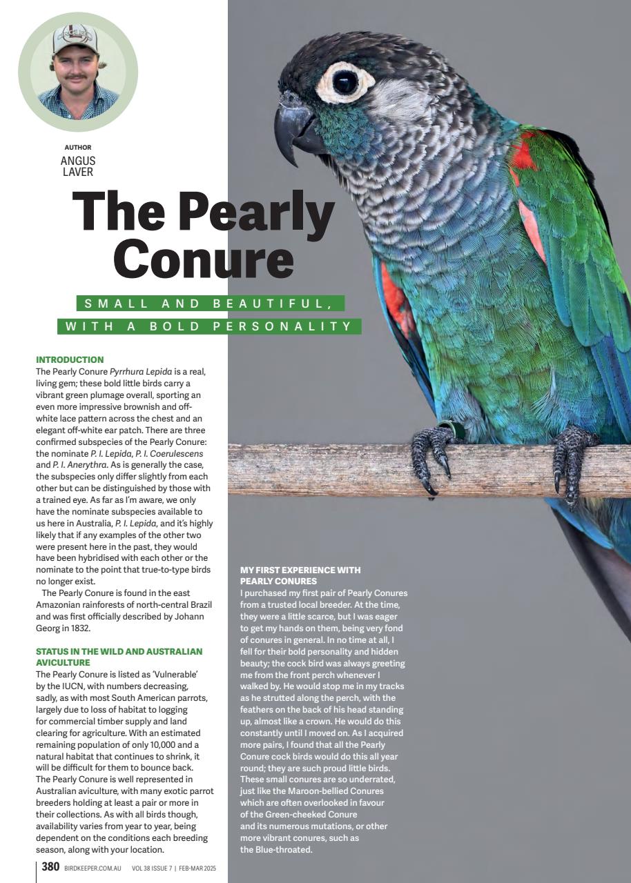 Australian Birdkeeper Magazine Preview Pages