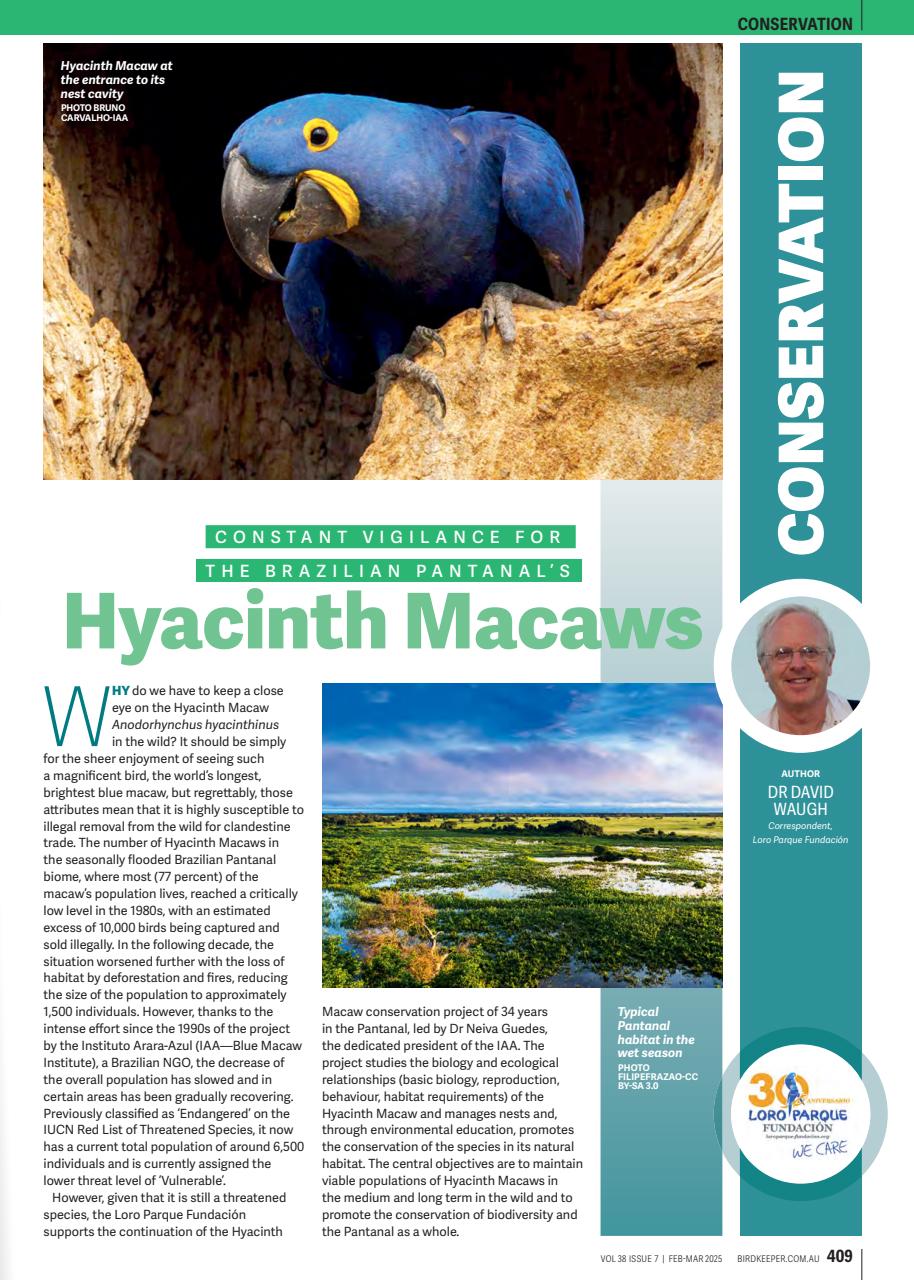 Australian Birdkeeper Magazine Preview Pages