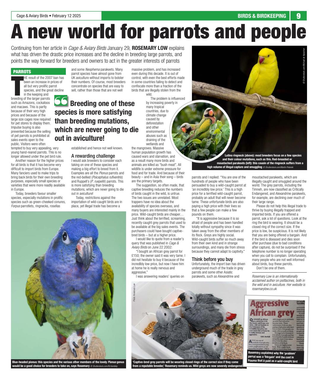 Cage & Aviary Birds Preview Pages