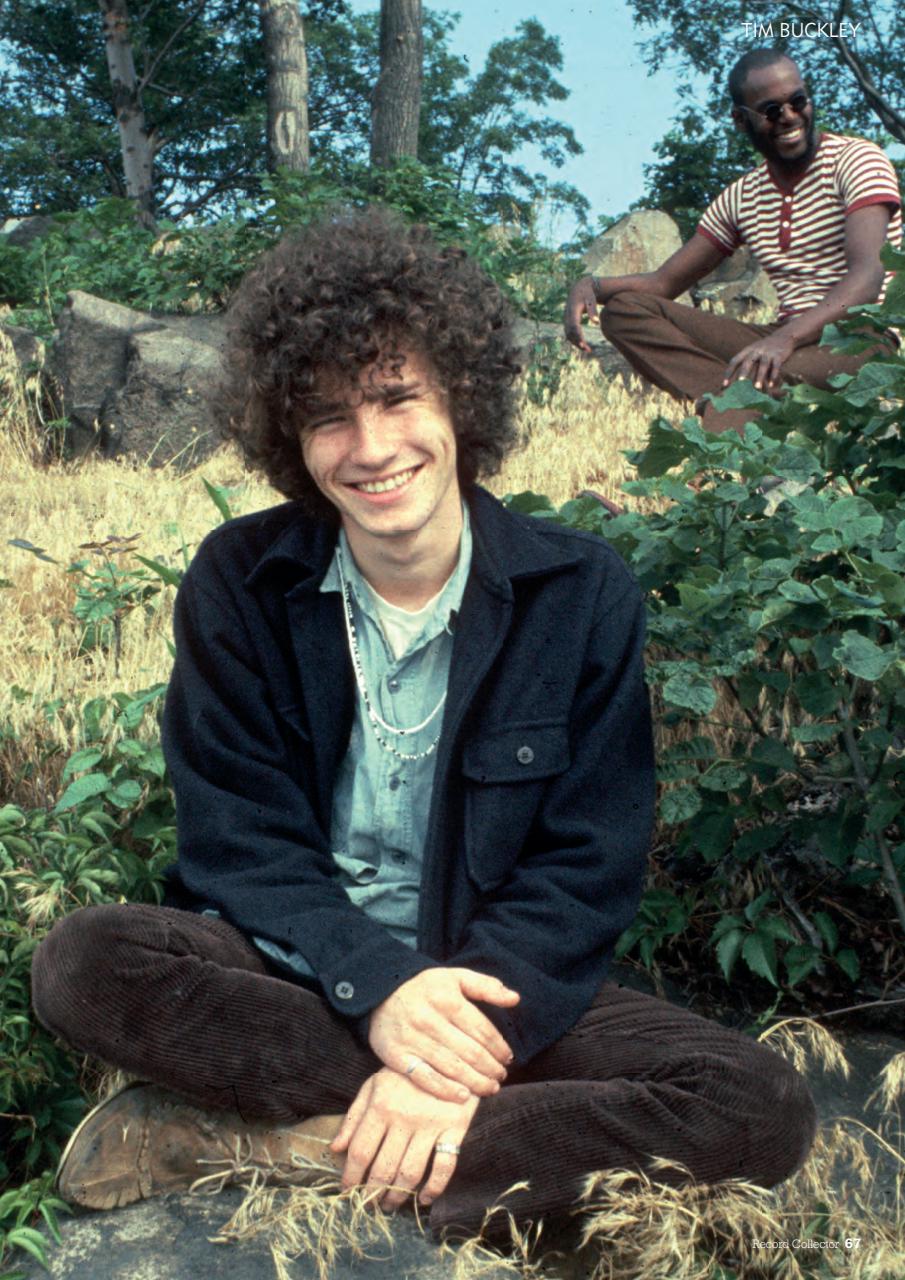 Record Collector Preview Pages