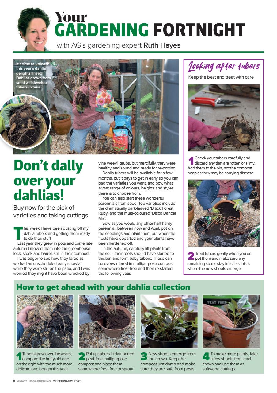 Amateur Gardening Preview Pages